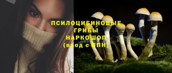 спиды Ладушкин