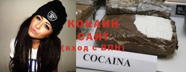 прущие грибы Волгодонск