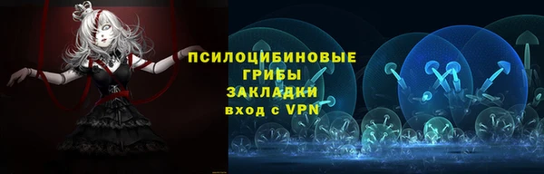 первитин Лабытнанги