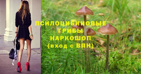 первитин Лабытнанги