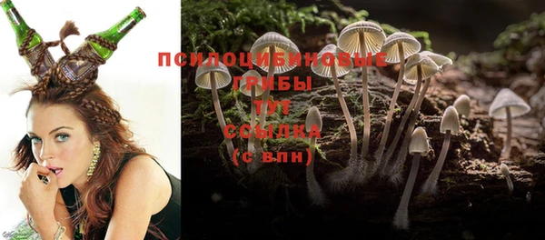спиды Ладушкин