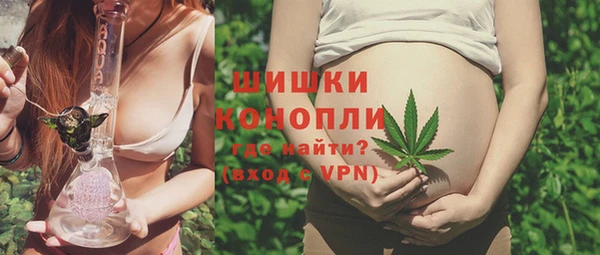 спиды Ладушкин