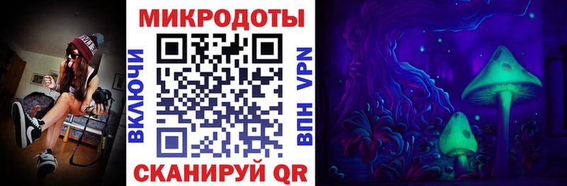 Псилоцибиновые грибы ЛСД  kraken ONION  Емва 